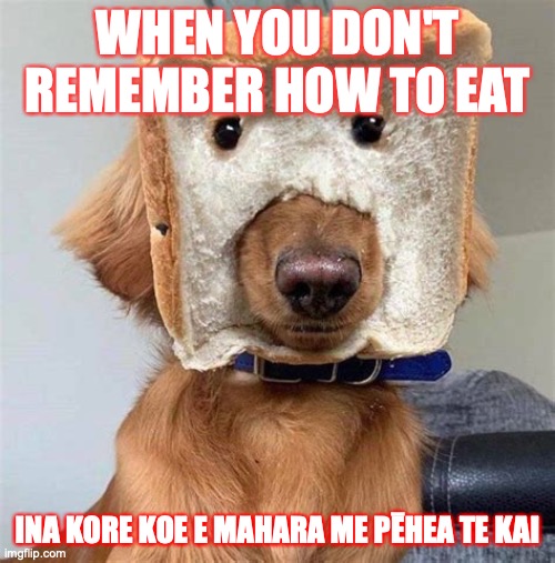 Relatable | WHEN YOU DON'T REMEMBER HOW TO EAT; INA KORE KOE E MAHARA ME PĒHEA TE KAI | image tagged in memes | made w/ Imgflip meme maker