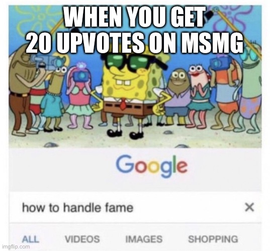 How to handle fame | WHEN YOU GET 20 UPVOTES ON MSMG | image tagged in how to handle fame | made w/ Imgflip meme maker