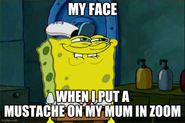 Lots of fun | MY FACE; WHEN I PUT A MUSTACHE ON MY MUM IN ZOOM | image tagged in memes,don't you squidward | made w/ Imgflip meme maker