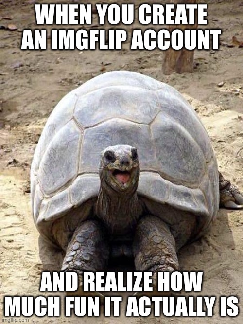 imgflip tortoise | WHEN YOU CREATE AN IMGFLIP ACCOUNT; AND REALIZE HOW MUCH FUN IT ACTUALLY IS | image tagged in smiling happy excited tortoise,relatable,tortoise,imgflip,funny,lol | made w/ Imgflip meme maker