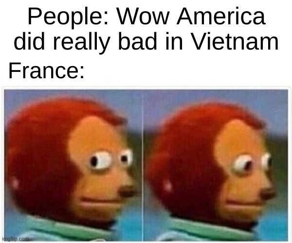 Monkey Puppet Meme | People: Wow America did really bad in Vietnam; France: | image tagged in memes,monkey puppet,france,vietnam,america,vietnam war | made w/ Imgflip meme maker