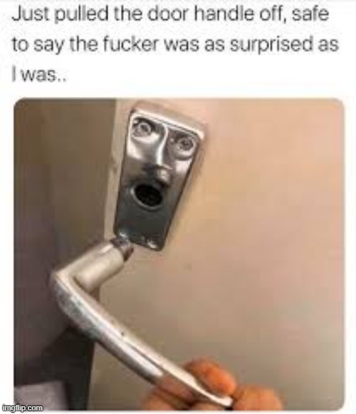what | image tagged in i'm sorry what | made w/ Imgflip meme maker