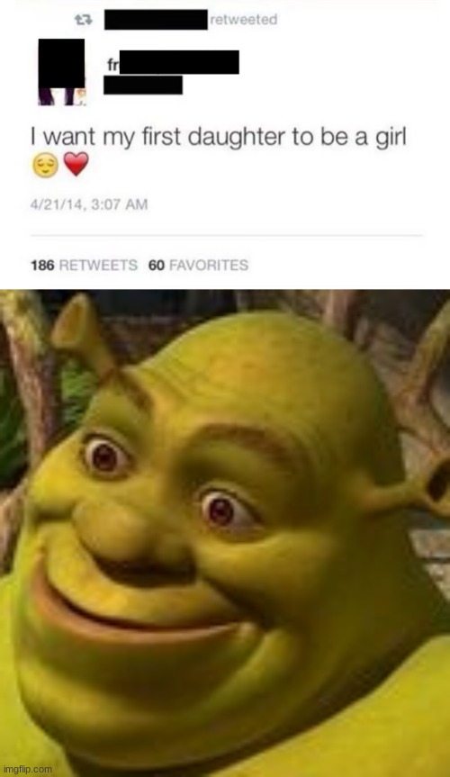 image tagged in shrek face | made w/ Imgflip meme maker