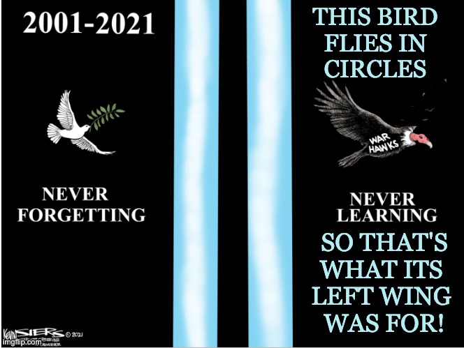 Aha! moment | THIS BIRD
FLIES IN
CIRCLES; SO THAT'S
WHAT ITS 
LEFT WING 
WAS FOR! | image tagged in right wing,chicken hawks,war,remember,9/11 | made w/ Imgflip meme maker