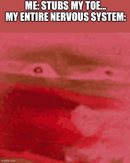Oof | ME: STUBS MY TOE...
MY ENTIRE NERVOUS SYSTEM: | image tagged in pepe | made w/ Imgflip meme maker