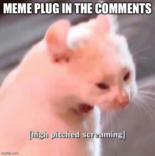 [high pitched screaming] | MEME PLUG IN THE COMMENTS | image tagged in high pitched screaming | made w/ Imgflip meme maker