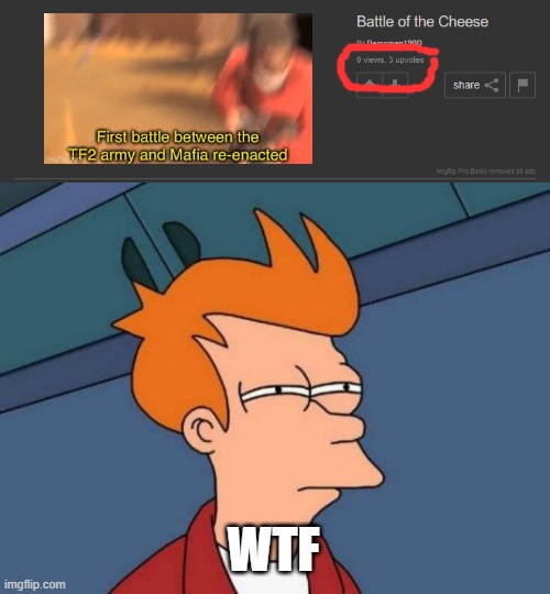WTF | image tagged in memes,futurama fry | made w/ Imgflip meme maker
