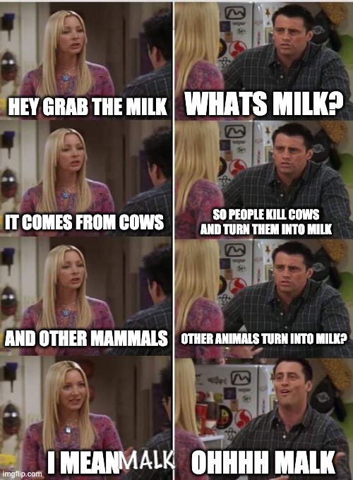 Phoebe Joey | HEY GRAB THE MILK; WHATS MILK? SO PEOPLE KILL COWS AND TURN THEM INTO MILK; IT COMES FROM COWS; AND OTHER MAMMALS; OTHER ANIMALS TURN INTO MILK? MALK; OHHHH MALK; I MEAN | image tagged in phoebe joey | made w/ Imgflip meme maker