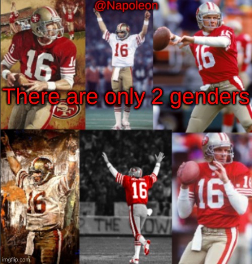 Napoleon's Joe Montana Temp | There are only 2 genders | image tagged in napoleon's joe montana temp | made w/ Imgflip meme maker