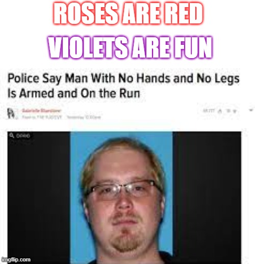nonsense | ROSES ARE RED; VIOLETS ARE FUN | image tagged in man with no hands or legs is armed and on the run,roses are red,bruh | made w/ Imgflip meme maker