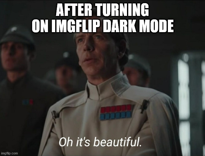 Oh it's beautiful | AFTER TURNING ON IMGFLIP DARK MODE | image tagged in oh it's beautiful | made w/ Imgflip meme maker