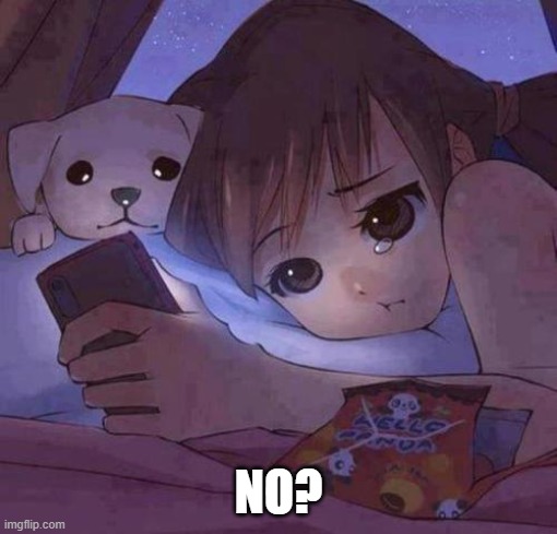sad anime | NO? | image tagged in sad anime | made w/ Imgflip meme maker