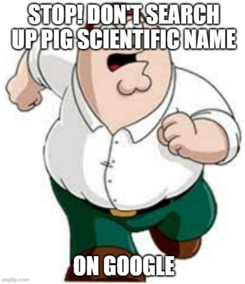 pls i beg dont | image tagged in peter griffin running away | made w/ Imgflip meme maker