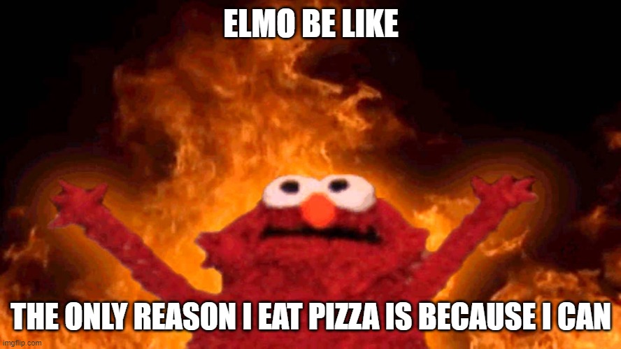 elmo fire | ELMO BE LIKE; THE ONLY REASON I EAT PIZZA IS BECAUSE I CAN | image tagged in elmo fire | made w/ Imgflip meme maker