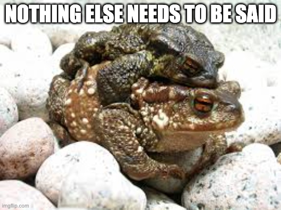 Sexing Toads | NOTHING ELSE NEEDS TO BE SAID | image tagged in toad | made w/ Imgflip meme maker