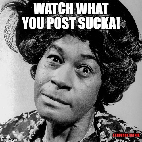 Watch it! | AARDVARK RATNIK | image tagged in funny memes,sanford and son,aunt esther | made w/ Imgflip meme maker
