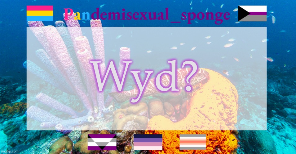 I’m working on a project | Wyd? | image tagged in pandemisexual_sponge temp,demisexual_sponge | made w/ Imgflip meme maker