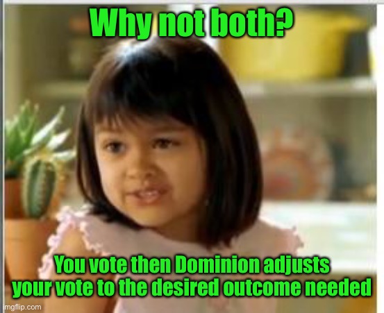 Why not both | Why not both? You vote then Dominion adjusts your vote to the desired outcome needed | image tagged in why not both | made w/ Imgflip meme maker