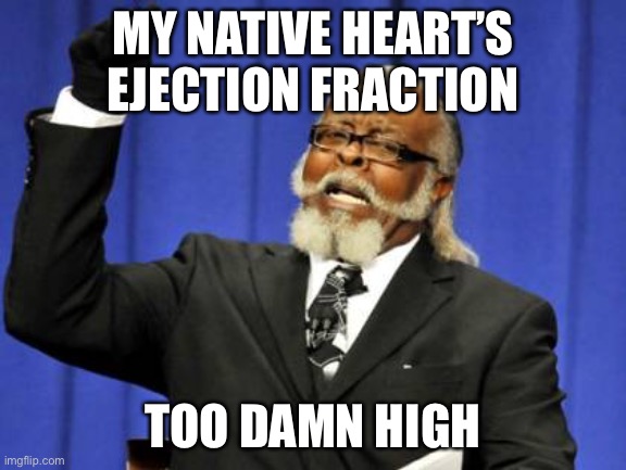 Too Damn High | MY NATIVE HEART’S EJECTION FRACTION; TOO DAMN HIGH | image tagged in memes,too damn high | made w/ Imgflip meme maker