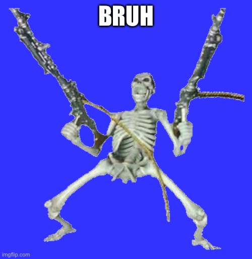Skeleton with guns | BRUH | image tagged in skeleton with guns | made w/ Imgflip meme maker