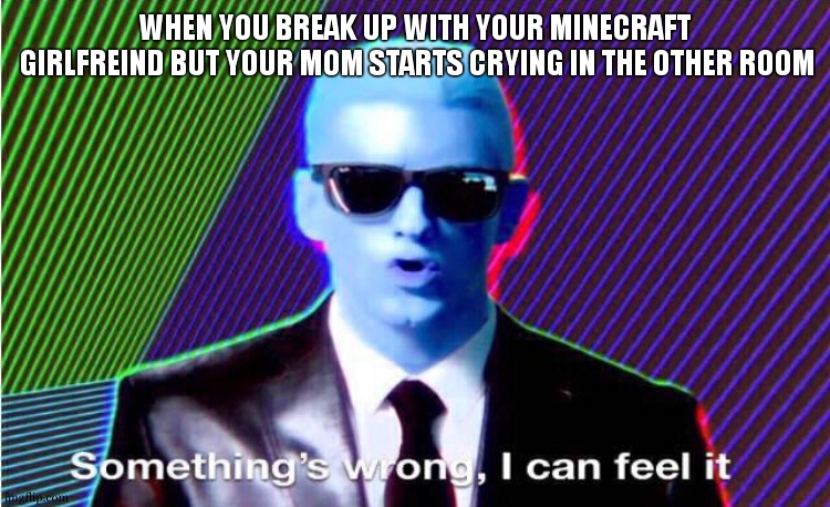 Something’s wrong | WHEN YOU BREAK UP WITH YOUR MINECRAFT
 GIRLFREIND BUT YOUR MOM STARTS CRYING IN THE OTHER ROOM | image tagged in something s wrong | made w/ Imgflip meme maker