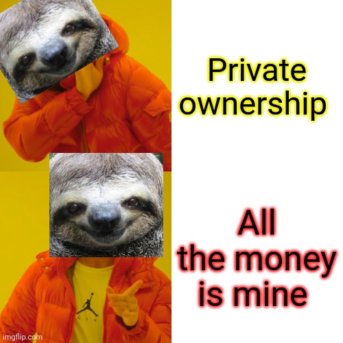 Drake Hotline Bling Meme | Private ownership All the money is mine | image tagged in memes,drake hotline bling | made w/ Imgflip meme maker