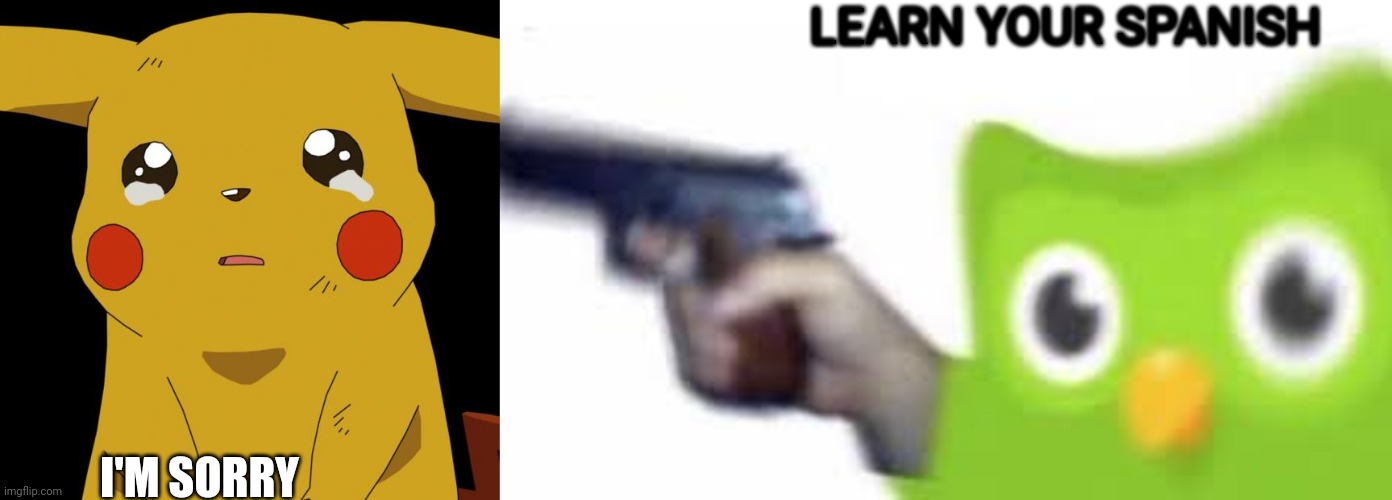 Poor pikachu | LEARN YOUR SPANISH; I'M SORRY | image tagged in pikachu crying,duolingo gun | made w/ Imgflip meme maker