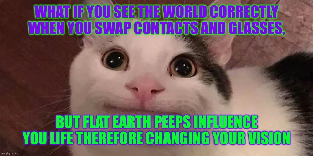 This only applies to people who were contacts and glasses |  WHAT IF YOU SEE THE WORLD CORRECTLY WHEN YOU SWAP CONTACTS AND GLASSES, BUT FLAT EARTH PEEPS INFLUENCE YOU LIFE THEREFORE CHANGING YOUR VISION | image tagged in cat,conspiracy theory | made w/ Imgflip meme maker