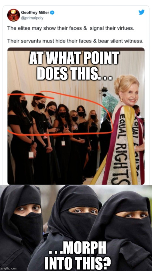 Might as well be wearing black ankle chains. . . | AT WHAT POINT DOES THIS. . . . . .MORPH INTO THIS? | image tagged in islamic women,tyranny,government corruption,masks,liberal hypocrisy | made w/ Imgflip meme maker
