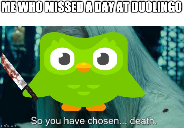 Accurate af | ME WHO MISSED A DAY AT DUOLINGO | image tagged in so you have chosen death,accurate | made w/ Imgflip meme maker
