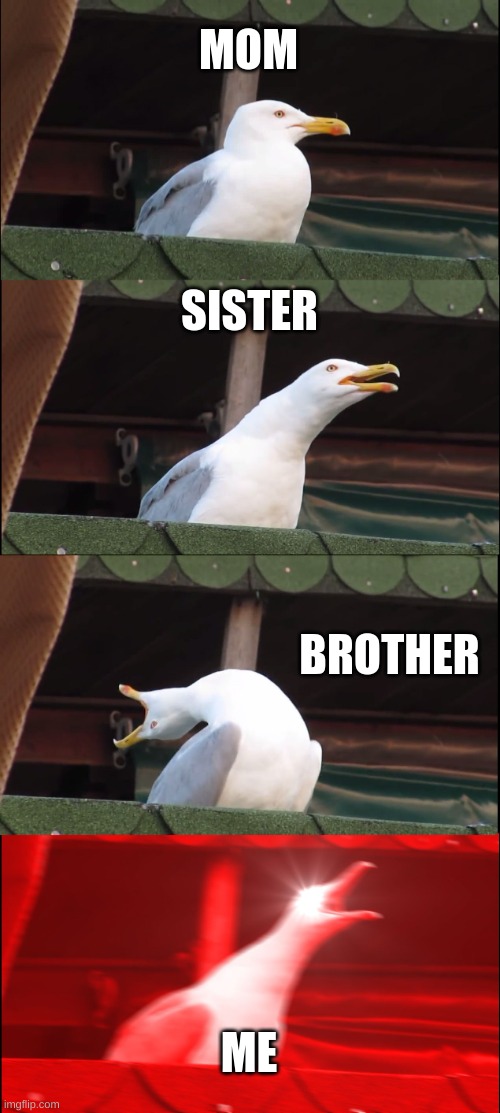 Inhaling Seagull Meme | MOM SISTER BROTHER ME | image tagged in memes,inhaling seagull | made w/ Imgflip meme maker