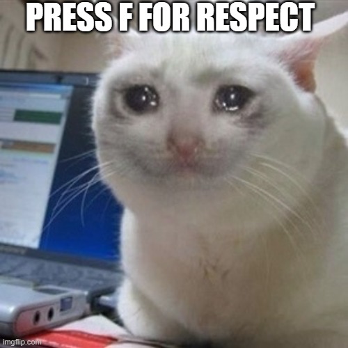 Crying cat | PRESS F FOR RESPECT | image tagged in crying cat | made w/ Imgflip meme maker