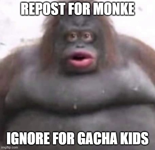 repost for monke | REPOST FOR MONKE; IGNORE FOR GACHA KIDS | image tagged in le monke,repost week,monke,gacha | made w/ Imgflip meme maker