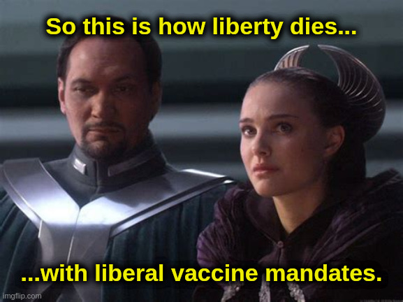 Vaccine Amidala | So this is how liberty dies... ...with liberal vaccine mandates. | image tagged in star wars,amidala,covid,vaccine,liberals | made w/ Imgflip meme maker