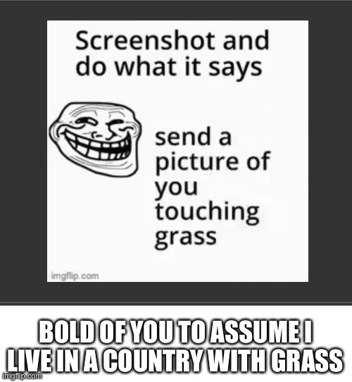 BOLD OF YOU TO ASSUME I LIVE IN A COUNTRY WITH GRASS | made w/ Imgflip meme maker