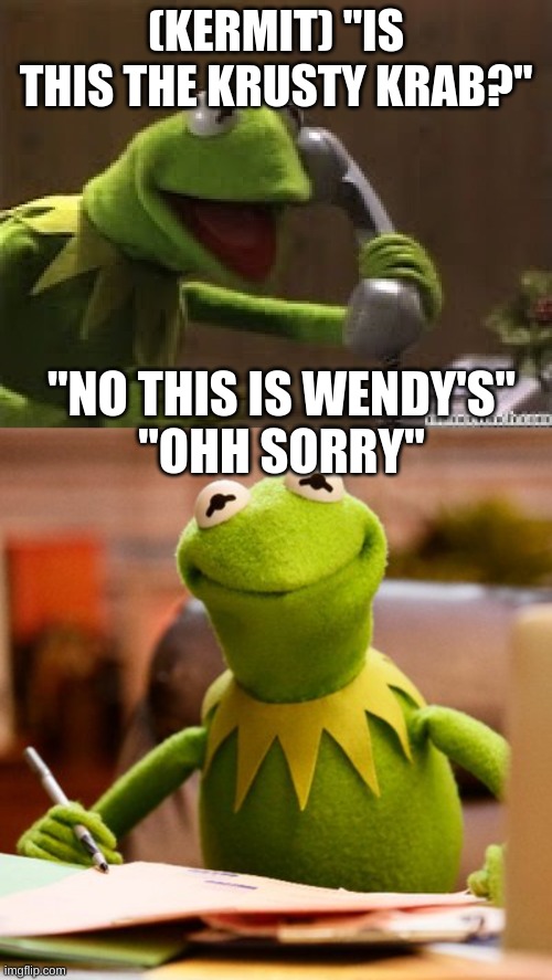 oof | (KERMIT) "IS THIS THE KRUSTY KRAB?"; "NO THIS IS WENDY'S"     "OHH SORRY" | image tagged in kermit the frog at phone | made w/ Imgflip meme maker