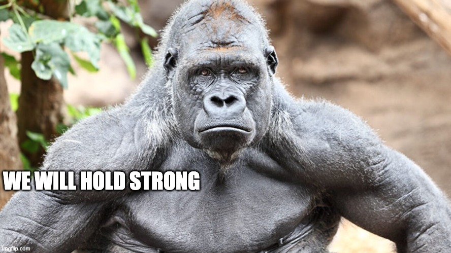 Strong APE holding gme | WE WILL HOLD STRONG | image tagged in strong ape holding gme | made w/ Imgflip meme maker