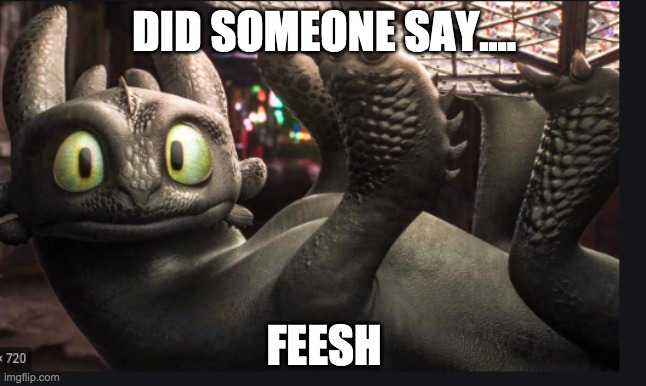 if you this give a like and a comment |  DID SOMEONE SAY.... FEESH | image tagged in toothless | made w/ Imgflip meme maker