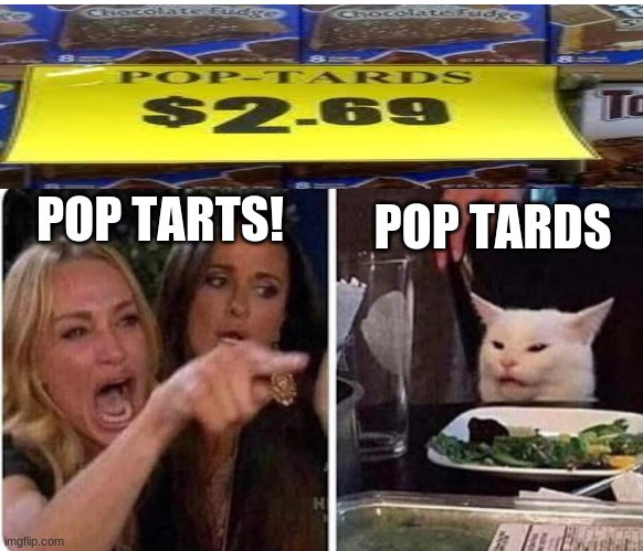 Lady screams at cat | POP TARDS; POP TARTS! | image tagged in lady screams at cat | made w/ Imgflip meme maker