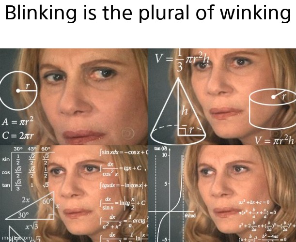 Im not wrong | Blinking is the plural of winking | image tagged in calculating meme,memes,funny | made w/ Imgflip meme maker