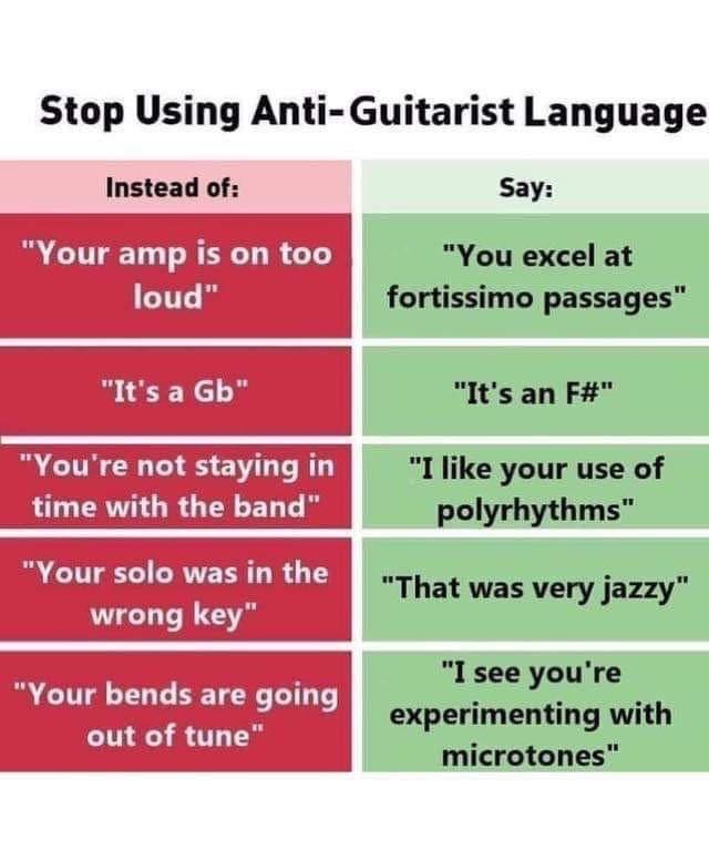Anti-guitarist language Blank Meme Template