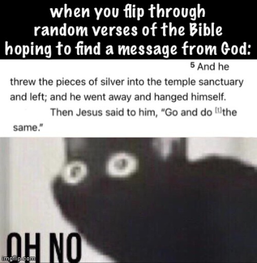 Lol | image tagged in oh no cat,something's wrong i can feel it,bible verse,fallout hold up | made w/ Imgflip meme maker