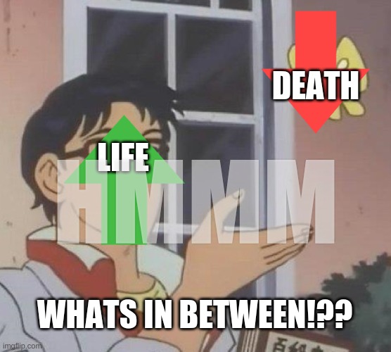 Is This A Pigeon | DEATH; HMMM; LIFE; WHATS IN BETWEEN!?? | image tagged in memes,is this a pigeon | made w/ Imgflip meme maker