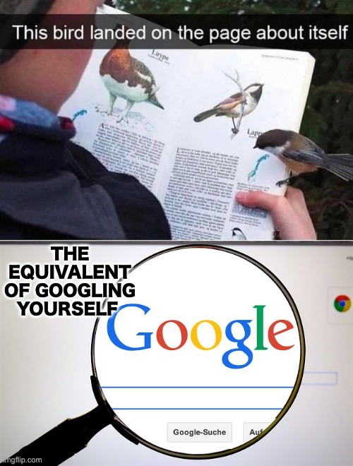 THE EQUIVALENT OF GOOGLING YOURSELF | image tagged in google search | made w/ Imgflip meme maker