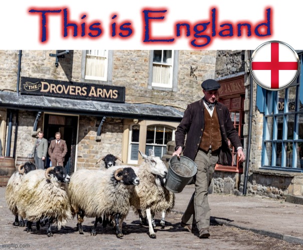 This is England ! | This is England | image tagged in sheep | made w/ Imgflip meme maker