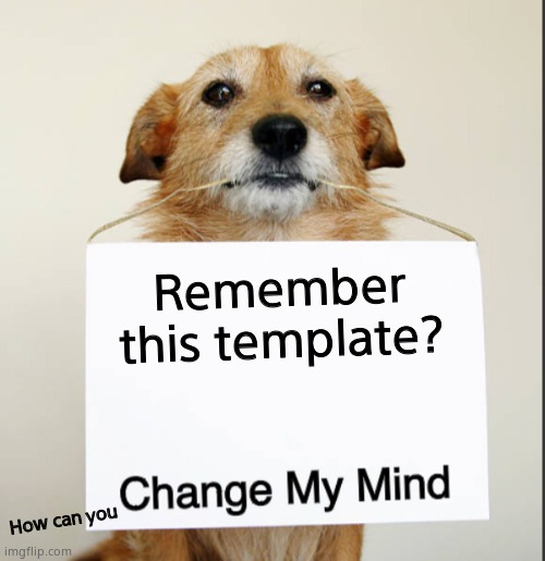 Change My Mind Dog | Remember this template? How can you | image tagged in change my mind dog | made w/ Imgflip meme maker