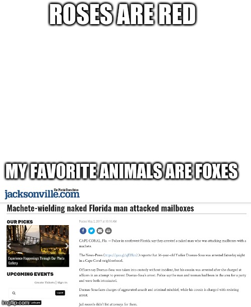 Florida Man Does It Again | ROSES ARE RED; MY FAVORITE ANIMALS ARE FOXES | image tagged in blank white template,florida man,bruh,machete,mailbox | made w/ Imgflip meme maker