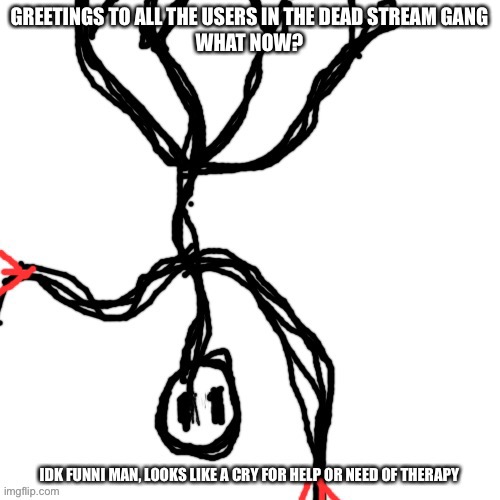 Idk funni man | GREETINGS TO ALL THE USERS IN THE DEAD STREAM GANG
WHAT NOW? | image tagged in idk funni man | made w/ Imgflip meme maker