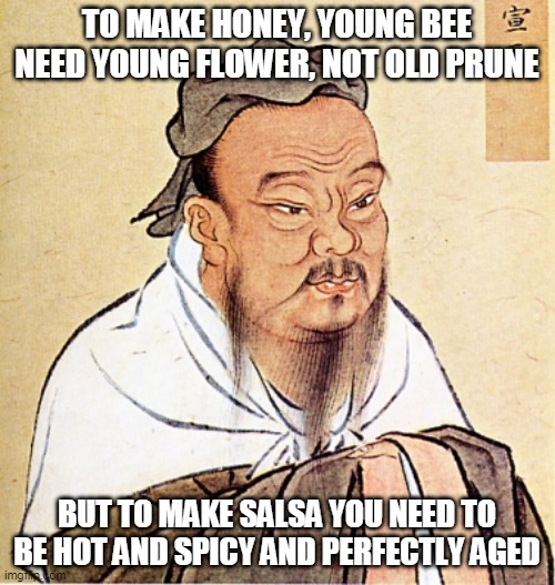 Honey |  TO MAKE HONEY, YOUNG BEE NEED YOUNG FLOWER, NOT OLD PRUNE; BUT TO MAKE SALSA YOU NEED TO BE HOT AND SPICY AND PERFECTLY AGED | image tagged in confucius says | made w/ Imgflip meme maker