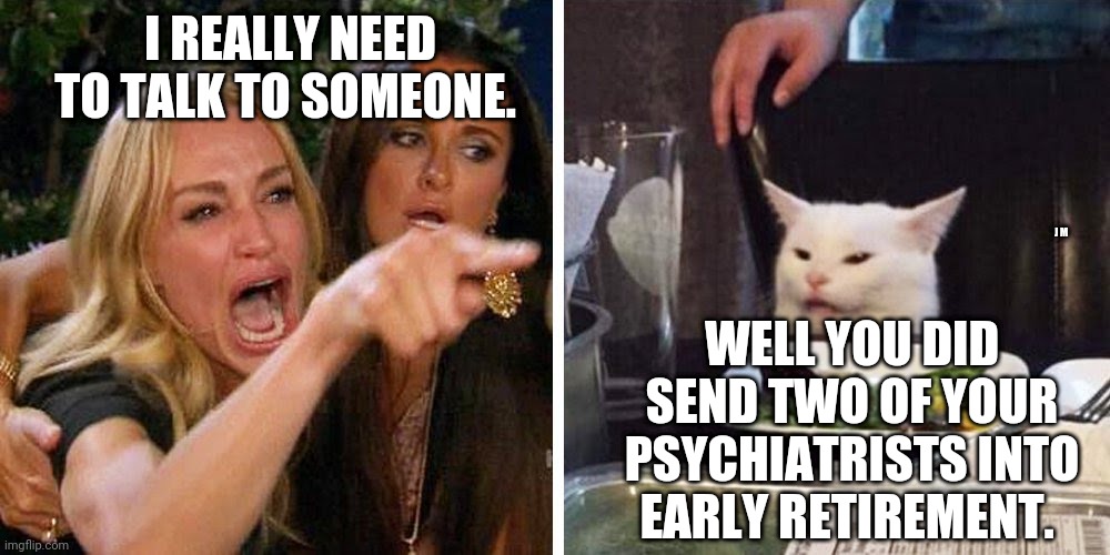 Smudge the cat | I REALLY NEED TO TALK TO SOMEONE. J M; WELL YOU DID SEND TWO OF YOUR PSYCHIATRISTS INTO EARLY RETIREMENT. | image tagged in smudge the cat | made w/ Imgflip meme maker